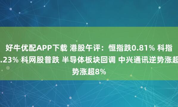 好牛优配APP下载 港股午评：恒指跌0.81% 科指跌1.23% 科网股普跌 半导体板块回调 中兴通讯逆势涨超8%